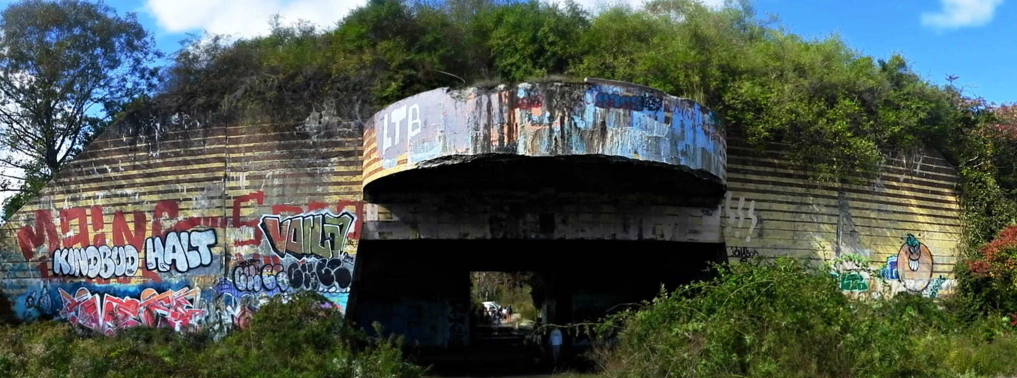 Exterior of Battery Steele