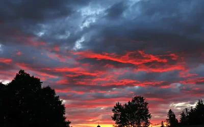 Two Decades in America: A Photo From Every Year